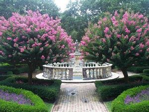 Pruning for the Elizabethan Gardens